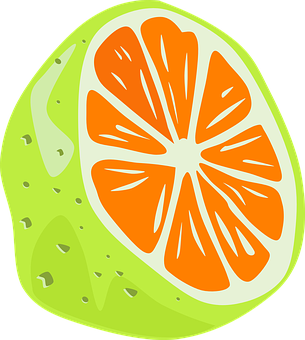 Stylized Orange Slice Illustration PNG