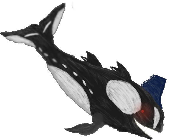 Stylized Orca Drawing PNG