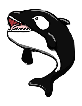 Stylized Orca Illustration PNG