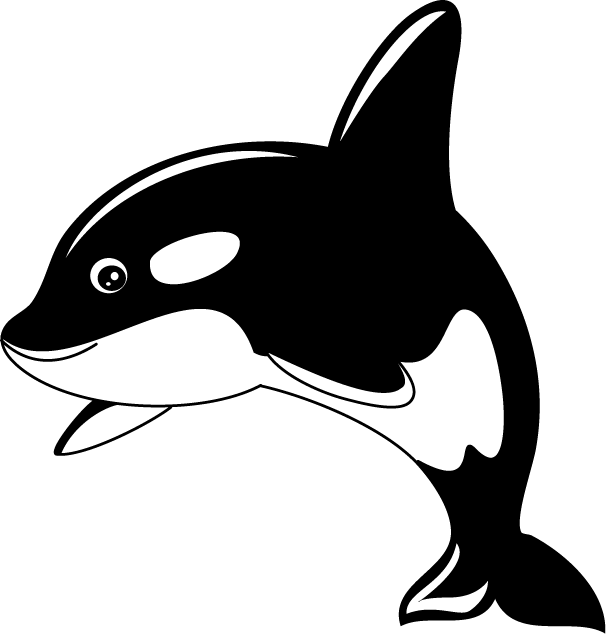 Stylized Orca Illustration PNG