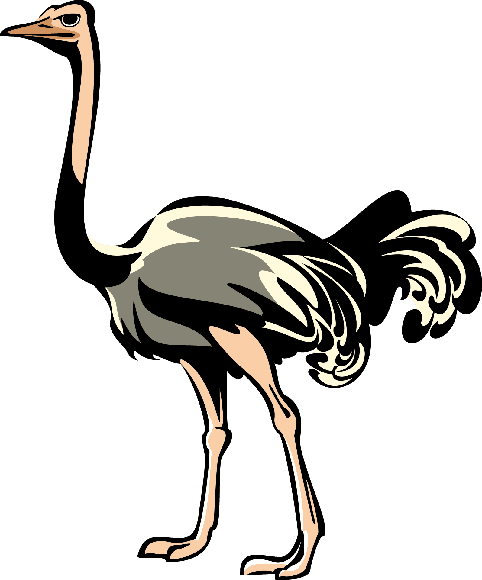 Stylized Ostrich Illustration PNG