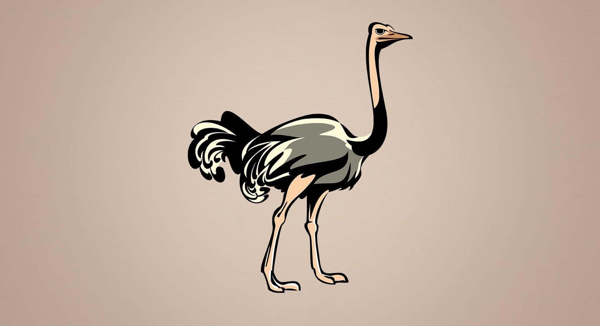 Stylized Ostrich Illustration Wallpaper