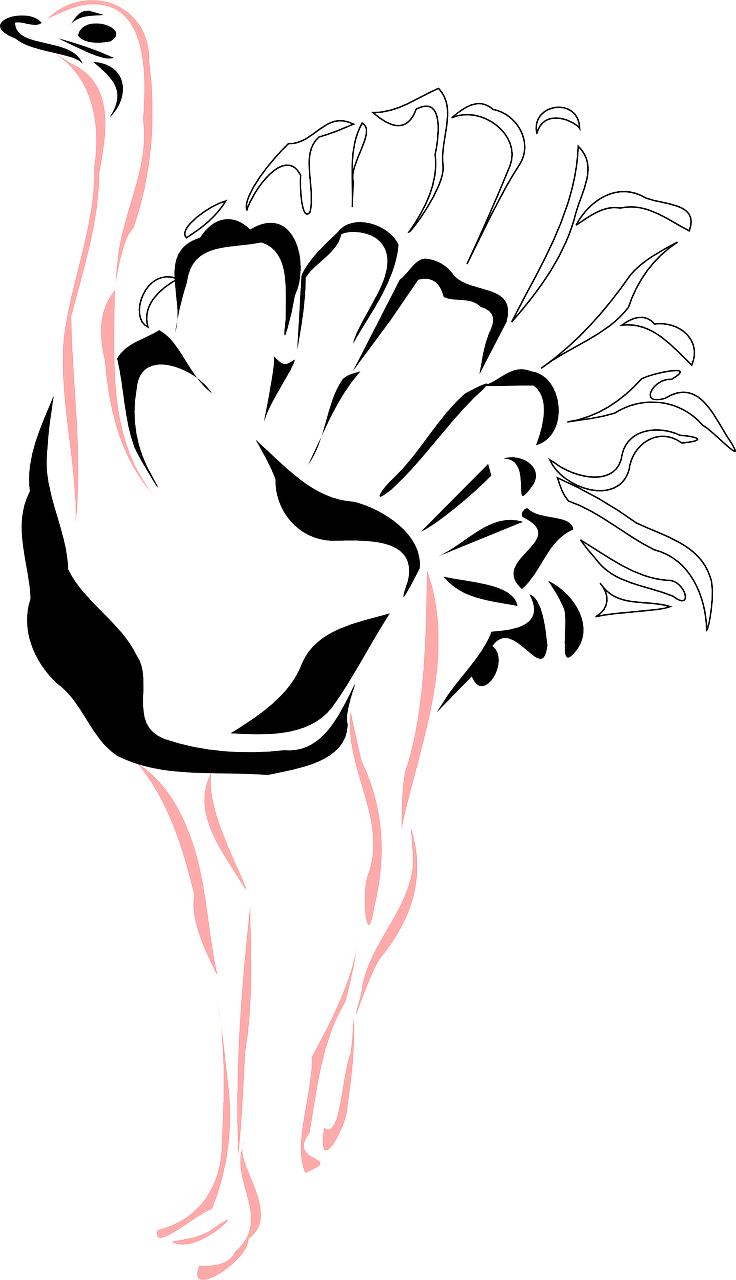 Stylized Ostrich Silhouette PNG