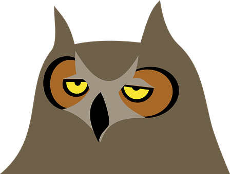 Stylized Owl Graphic PNG