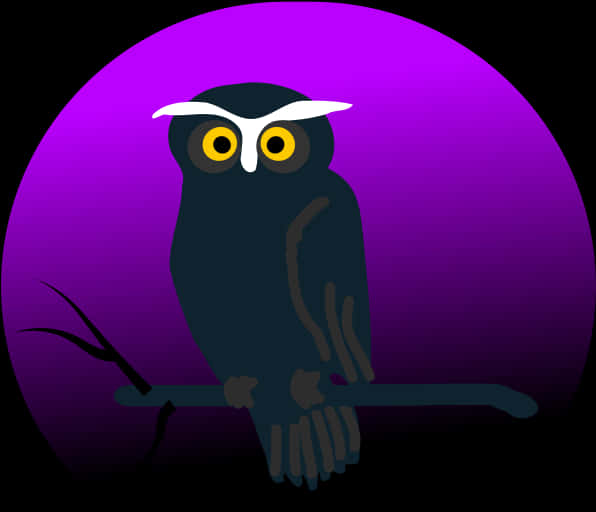Stylized Owl Illustration PNG