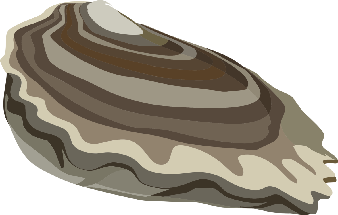 Stylized Oyster Illustration PNG
