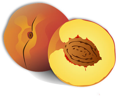 Stylized Peachand Pit Illustration PNG