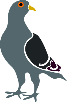 Stylized Pigeon Graphic PNG