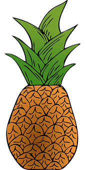 Stylized Pineapple Illustration PNG