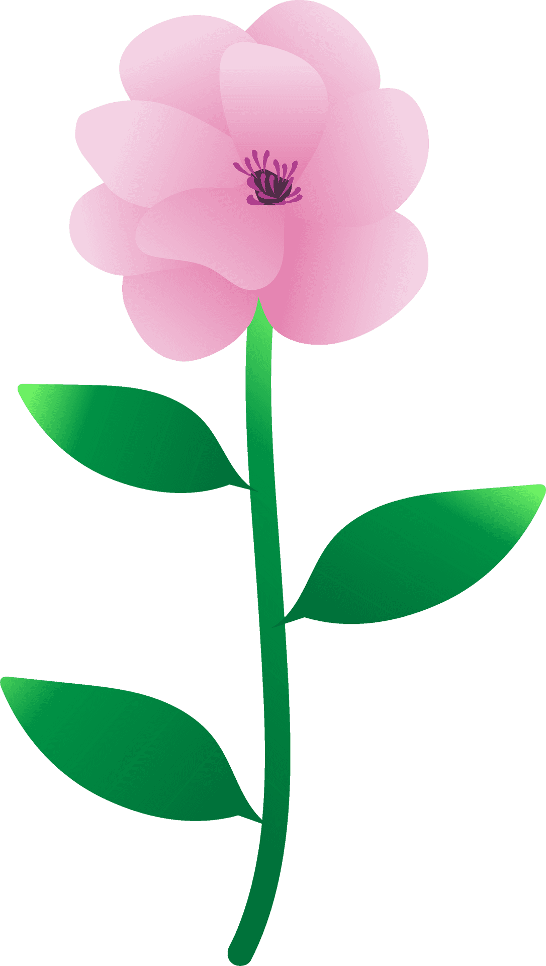 Stylized Pink Peony Vector PNG