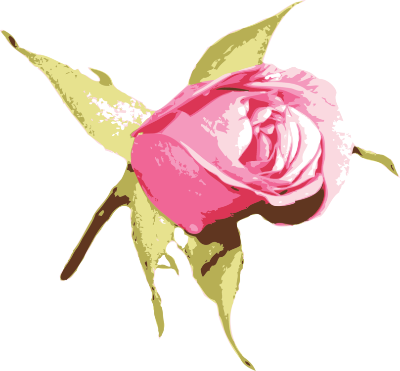 Stylized Pink Rose Artwork PNG