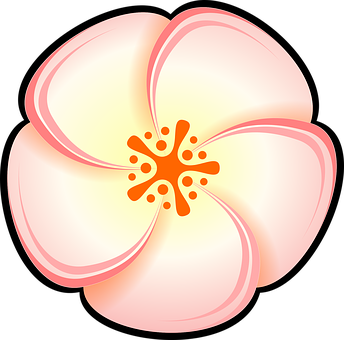 Stylized Plumeria Flower Illustration PNG
