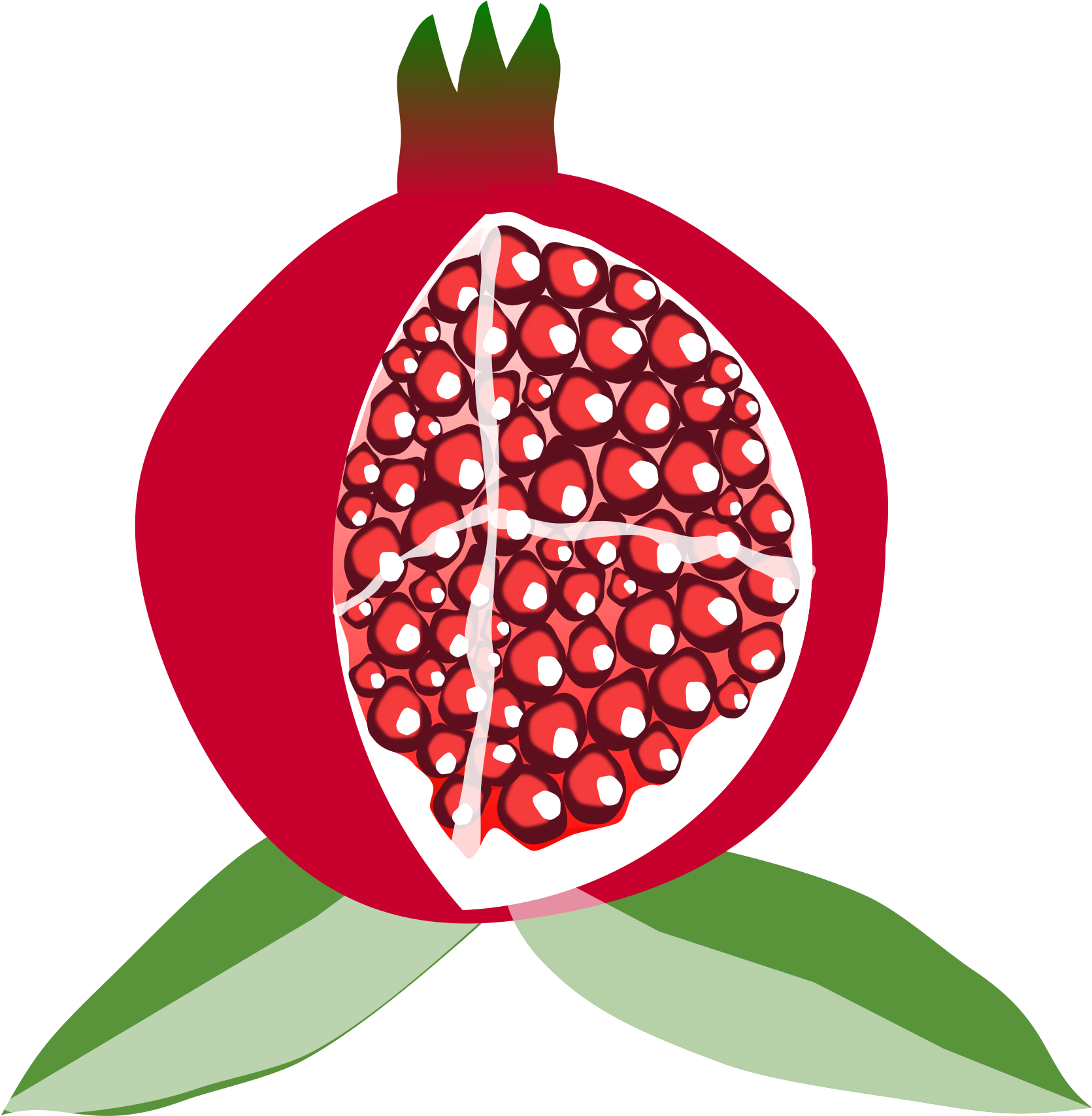 Stylized Pomegranate Illustration PNG