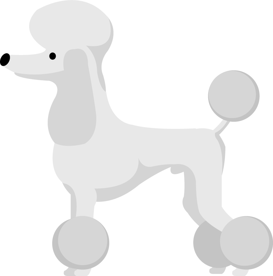 Stylized Poodle Illustration SVG