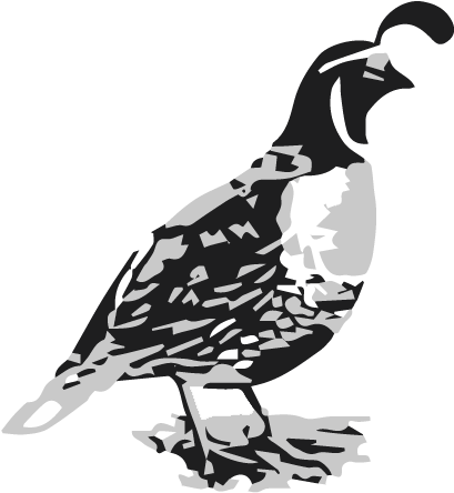 Stylized Quail Graphic PNG