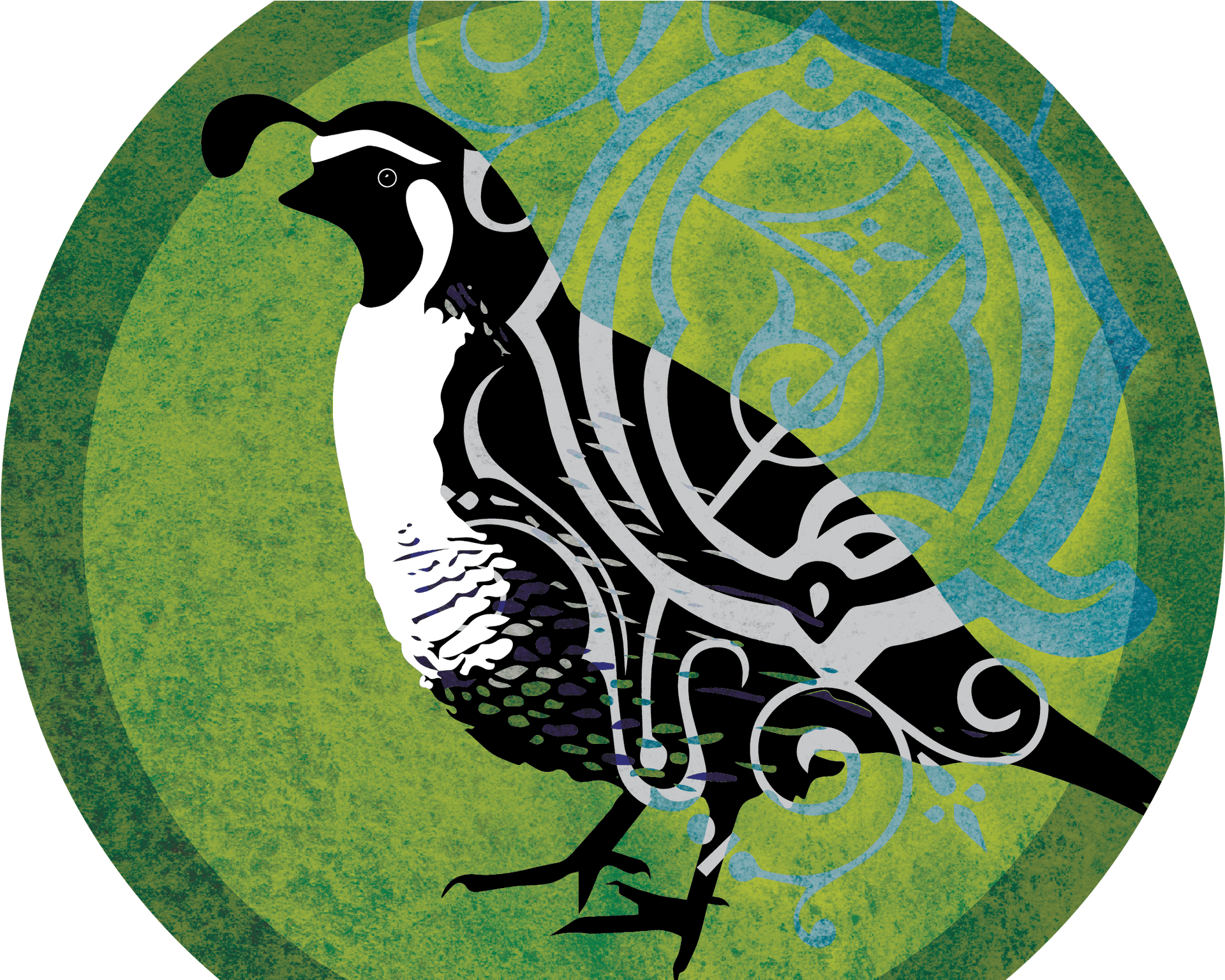 Stylized Quail Illustration PNG