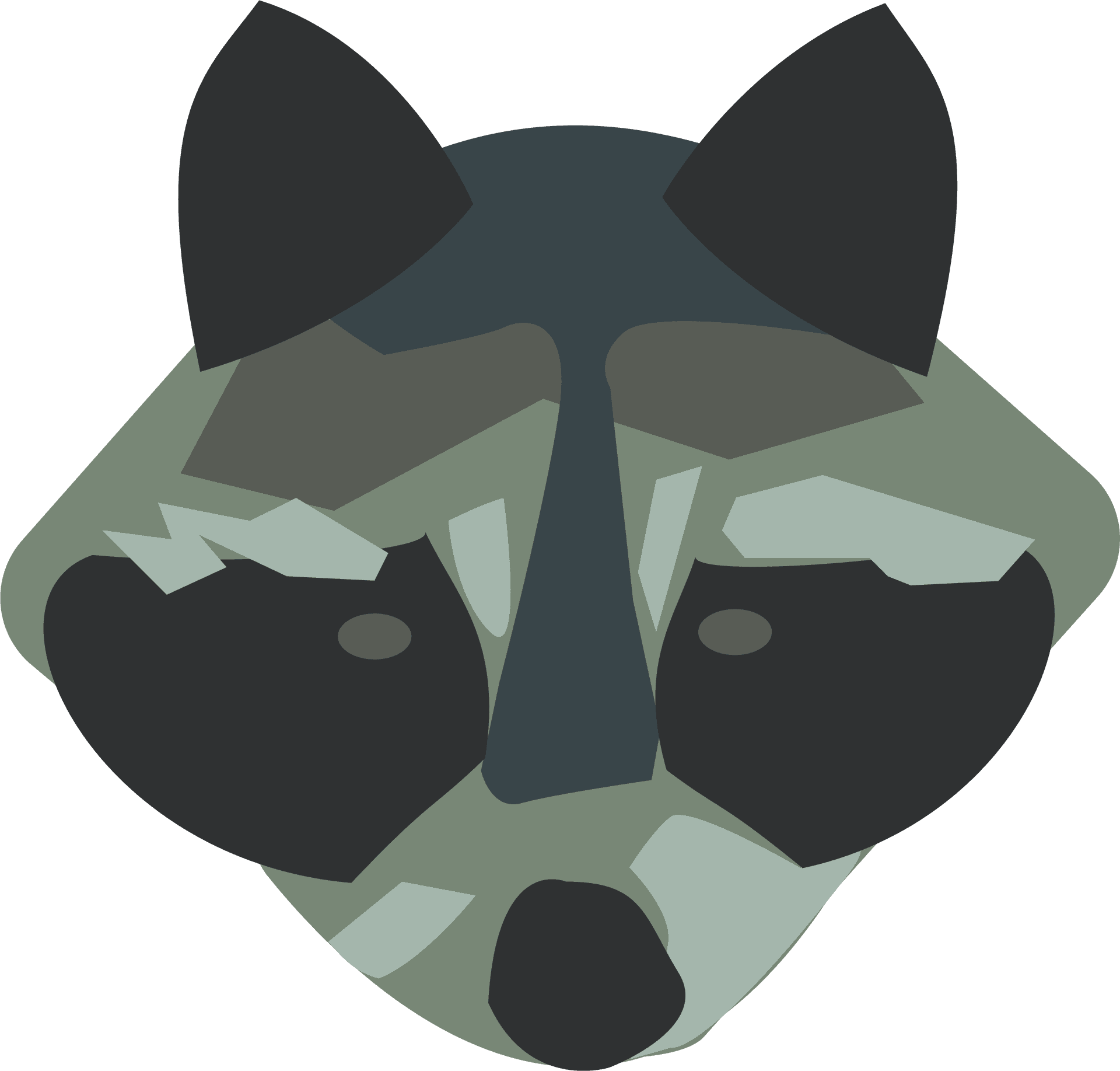 Stylized Raccoon Face Graphic PNG