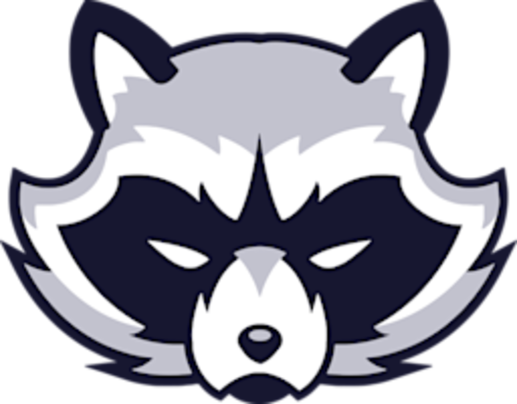 Stylized Raccoon Icon SVG