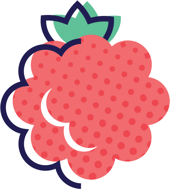 Stylized Raspberry Illustration PNG