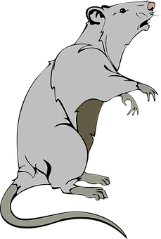 Stylized Rat Illustration PNG