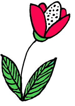 Stylized Red Flower Illustration PNG