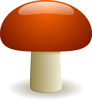 Stylized Red Mushroom Illustration PNG