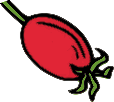 Stylized Red Rose Hip Illustration PNG