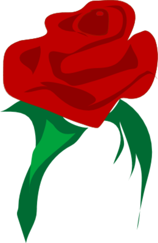 Stylized Red Rose Illustration PNG