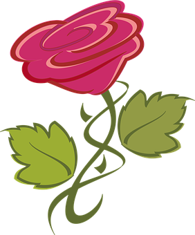 Stylized Red Rose Vector PNG