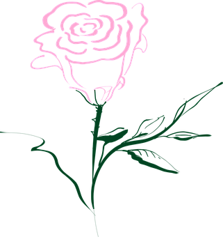 Stylized Rose Line Art PNG