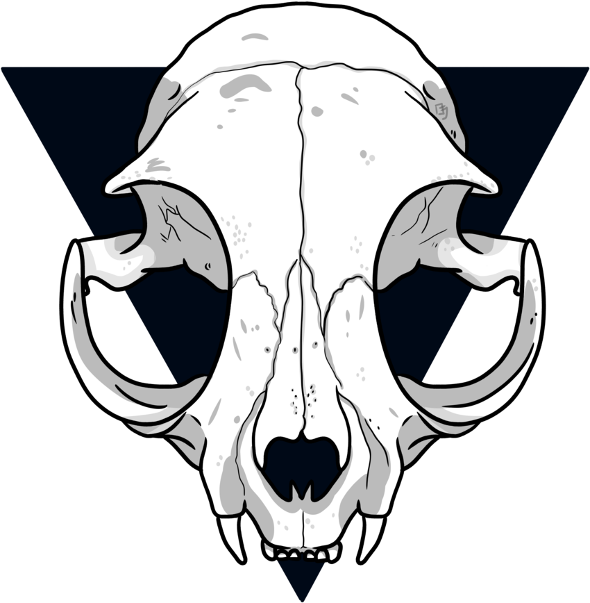 Stylized Saber Toothed Skull Illustration PNG