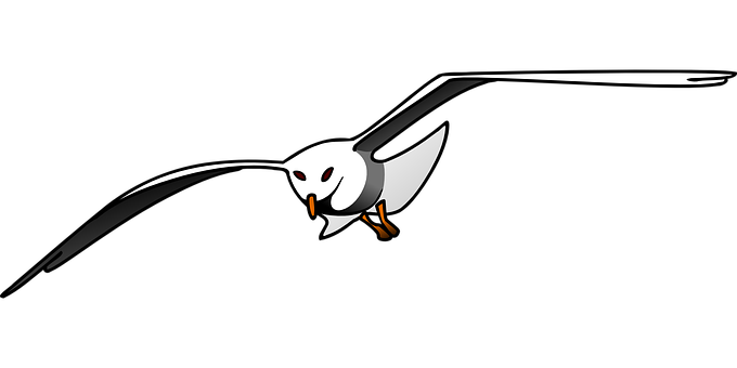 Stylized Seagull Graphic PNG