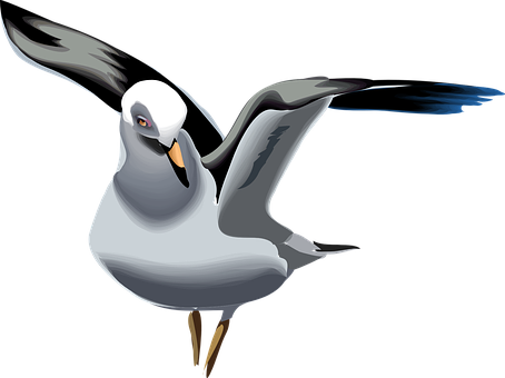 Stylized Seagull Illustration PNG