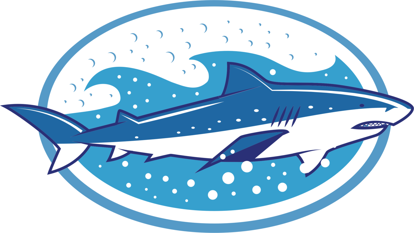 Stylized Shark Clipart PNG