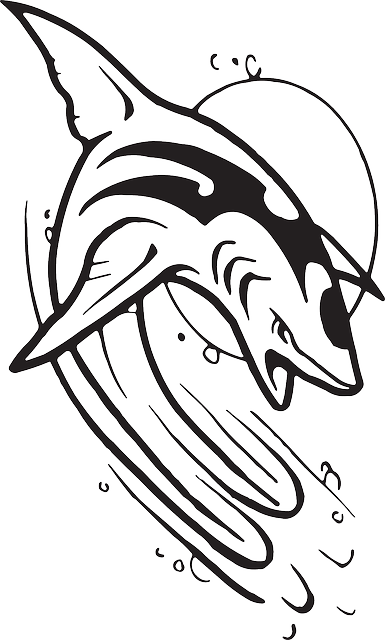 Stylized Shark Graphic PNG