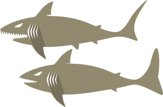 Stylized Sharks Illustration PNG