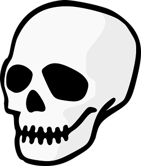 Stylized Skull Graphic PNG