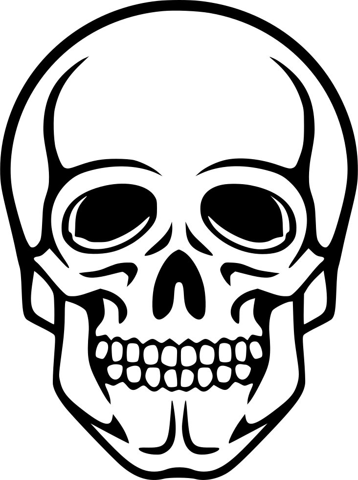Stylized Skull Line Art PNG