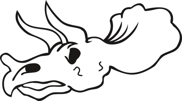 Stylized Skull Outline PNG