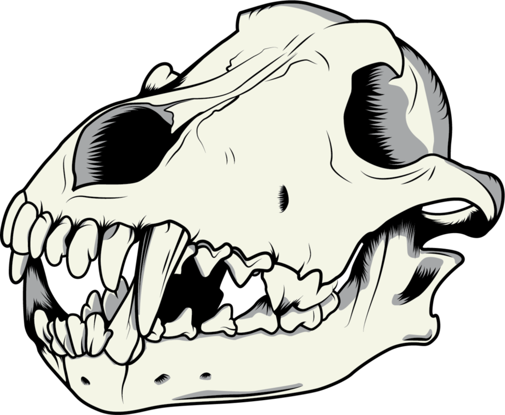 Stylized Skull Vector Art PNG