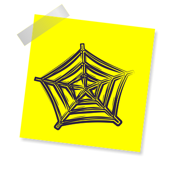 Stylized Spider Web Illustration PNG