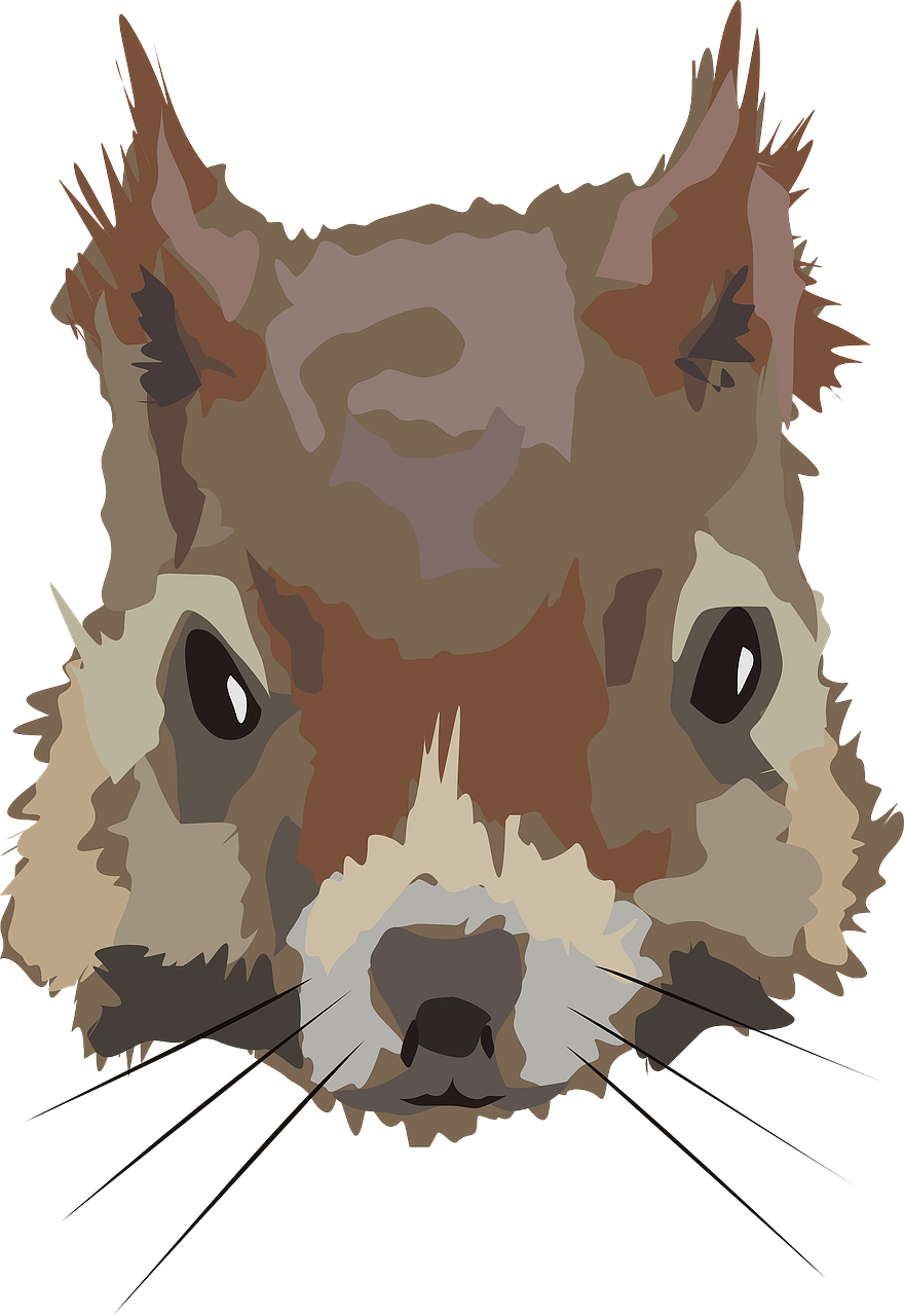 Stylized Squirrel Portrait PNG