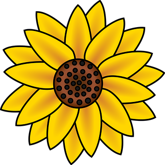 Stylized Sunflower Illustration PNG