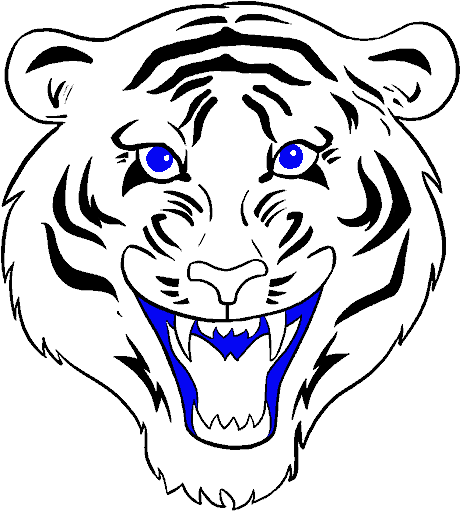 Stylized Tiger Head Graphic PNG