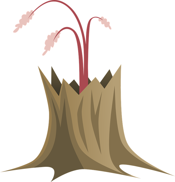 Stylized Tree Trunkwith Sprouting Flowers PNG