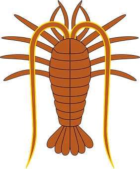 Stylized Trilobite Illustration PNG
