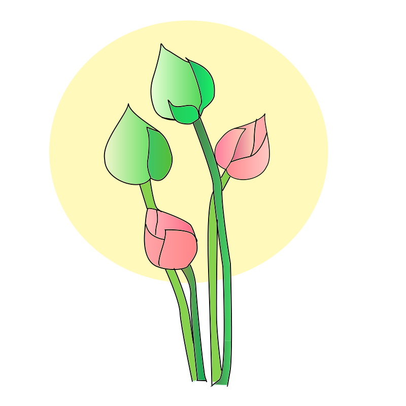 Stylized Tulips Illustration PNG