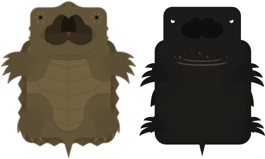 Stylized Turtle Duo PNG