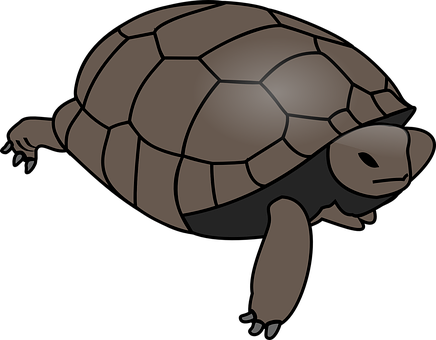 Stylized Turtle Illustration PNG