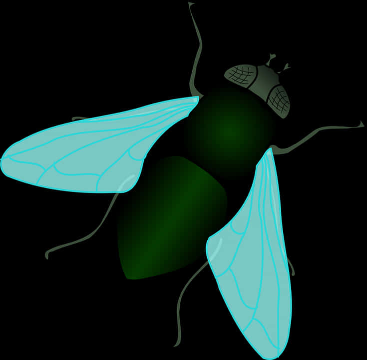 Stylized Vector Fly Illustration PNG